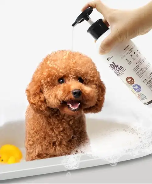 宠物用品